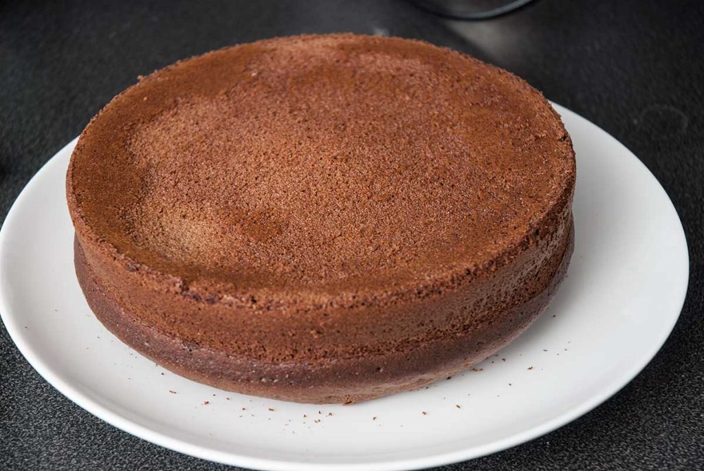 Walnut sponge cake on a plate. 