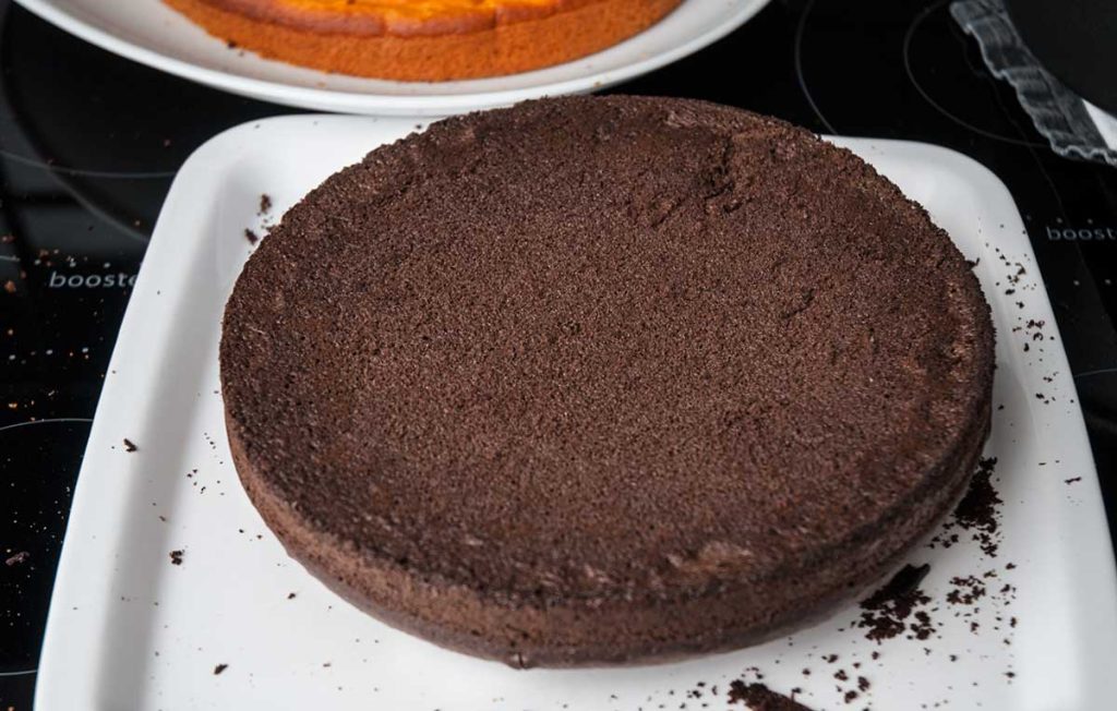 Chocolate sponge cake on a plate.