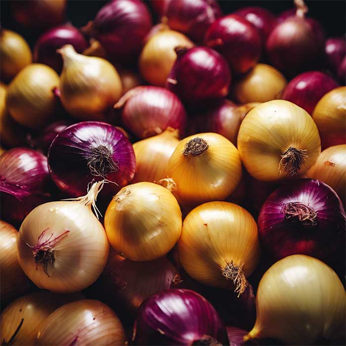 Selection of red and brown onions in their skin