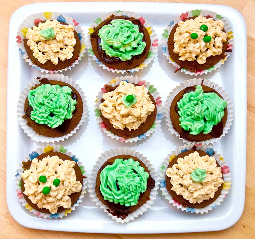 St Patrick's cupcake selection - Irish Bomb and Grasshopper