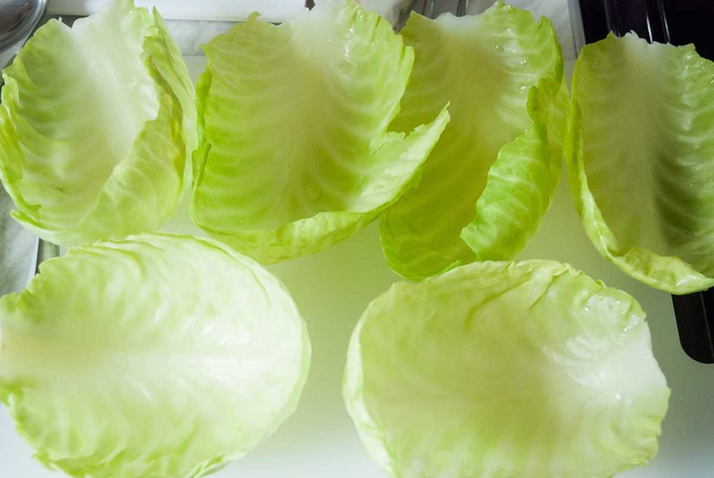 Cooked cabbage leaves separated from the head, prepared for filling Polish golabki.